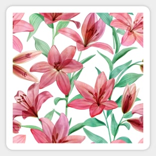 Translucent Lily flowers watercolor ornate composition. Transparent tropical pink flowers and leaves. Spring blooming garden Sticker